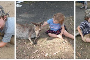 Collage of children petting kangaroos